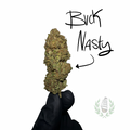 BUCK NASTY CBD 💚 by L’HERBE DE TÉO