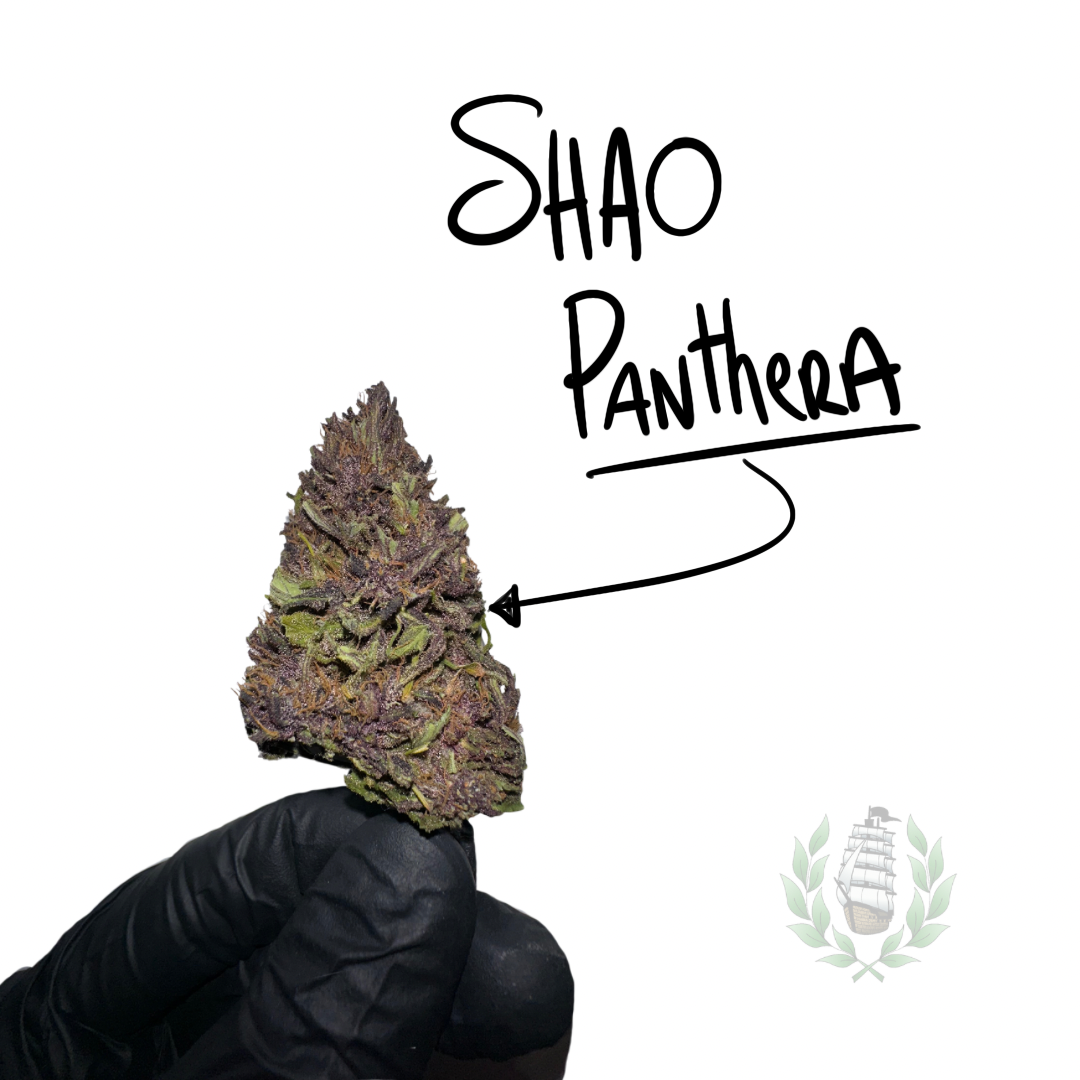 Shao Panthera CBD 💚 by LES FRÈRES CANNA