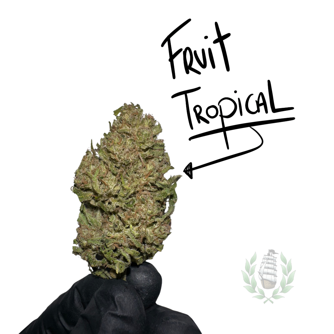 Tropical Fruit CBD 💚 by LES FRÈRES CANNA