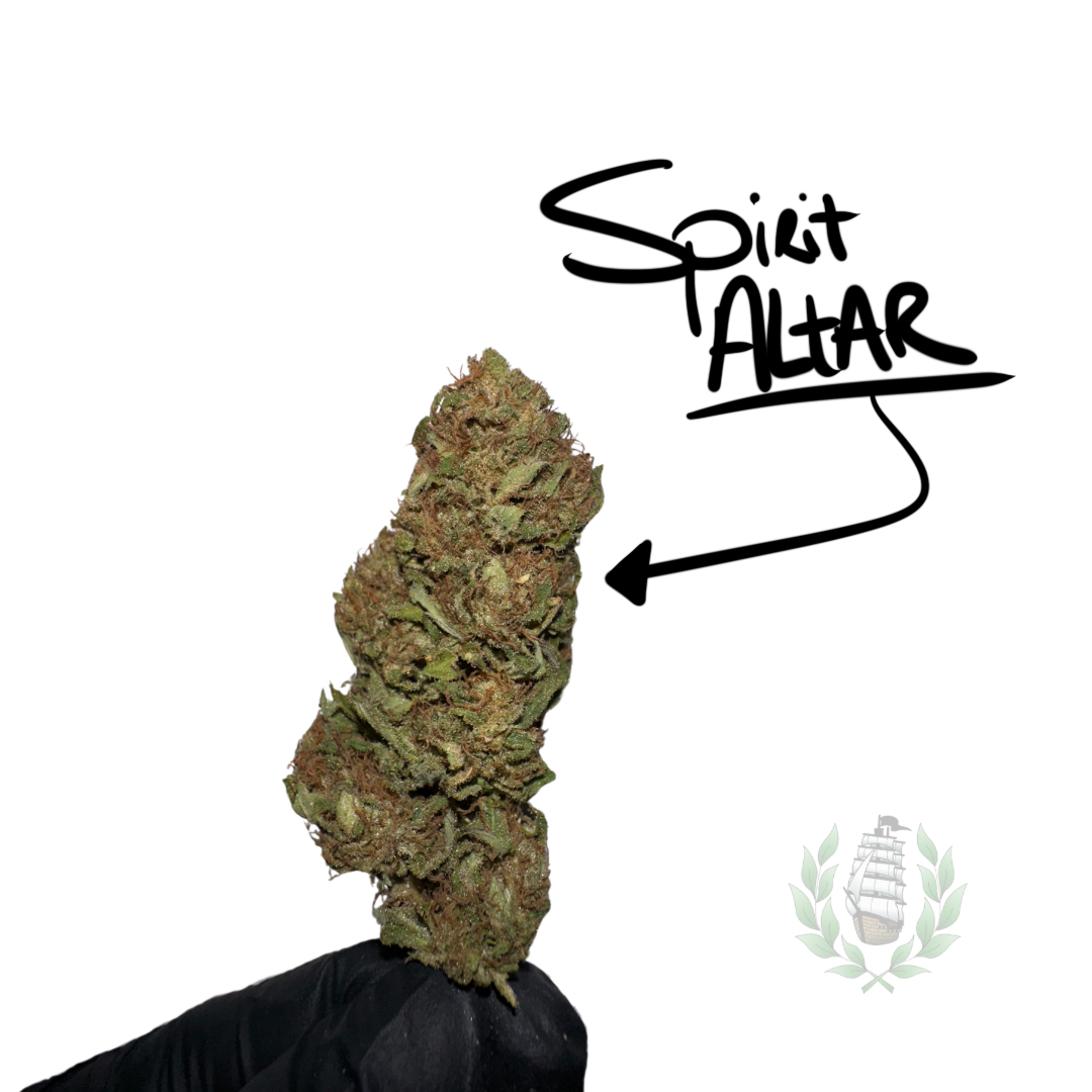 SPIRIT ALTAR CBD 💚 by L’HERBE DE TÉO