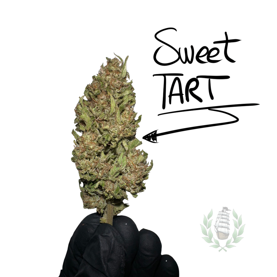 Sweet Tart CBD 💚 by LES FRÈRES CANNA