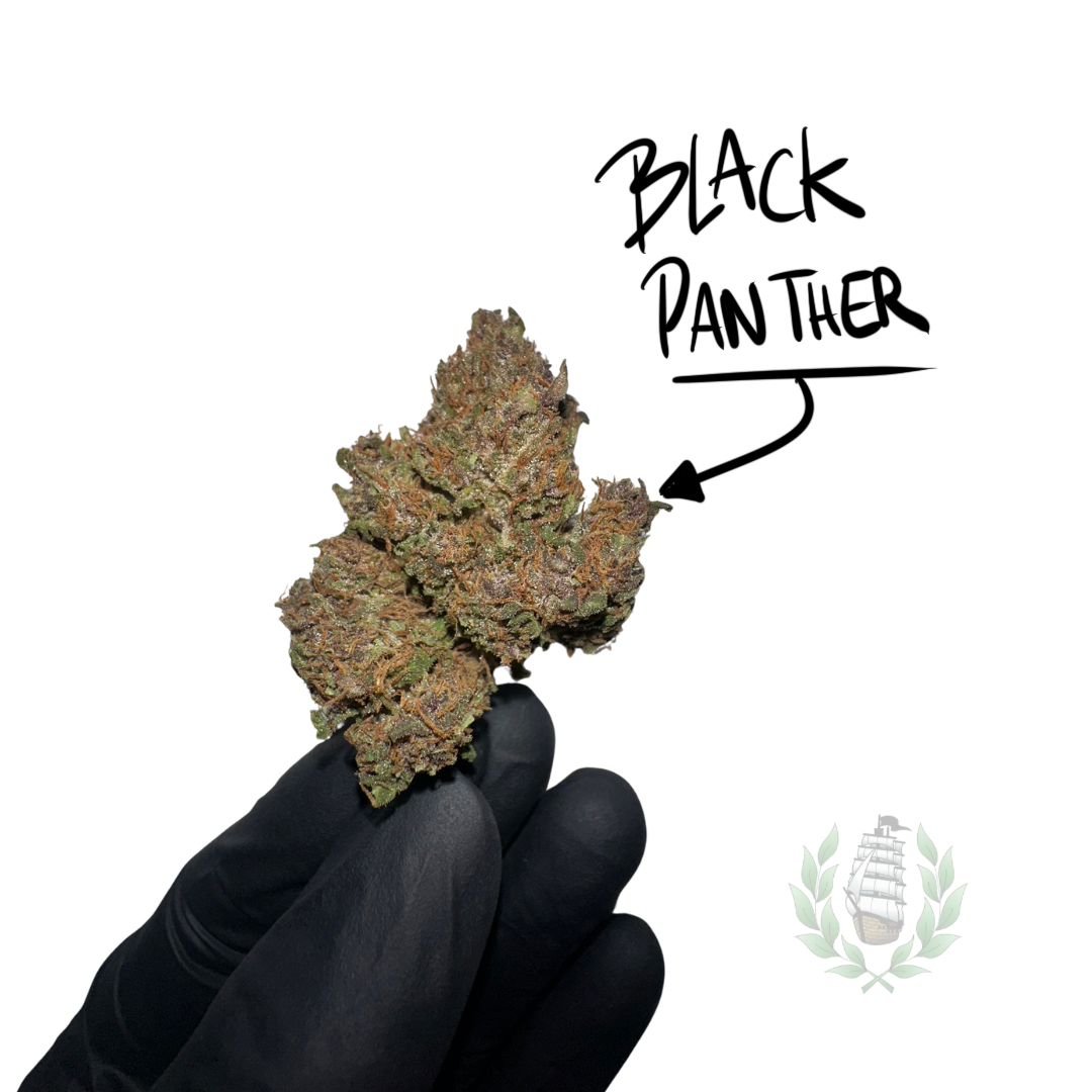 BLACK PANTHER CBD 💚 by L’HERBE DE TÉO