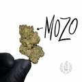 MOZO CBD 💚 by LES FRÈRES CANNA
