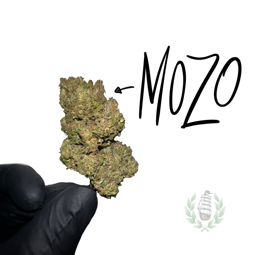 MOZO CBD 💚 by LES FRÈRES CANNA