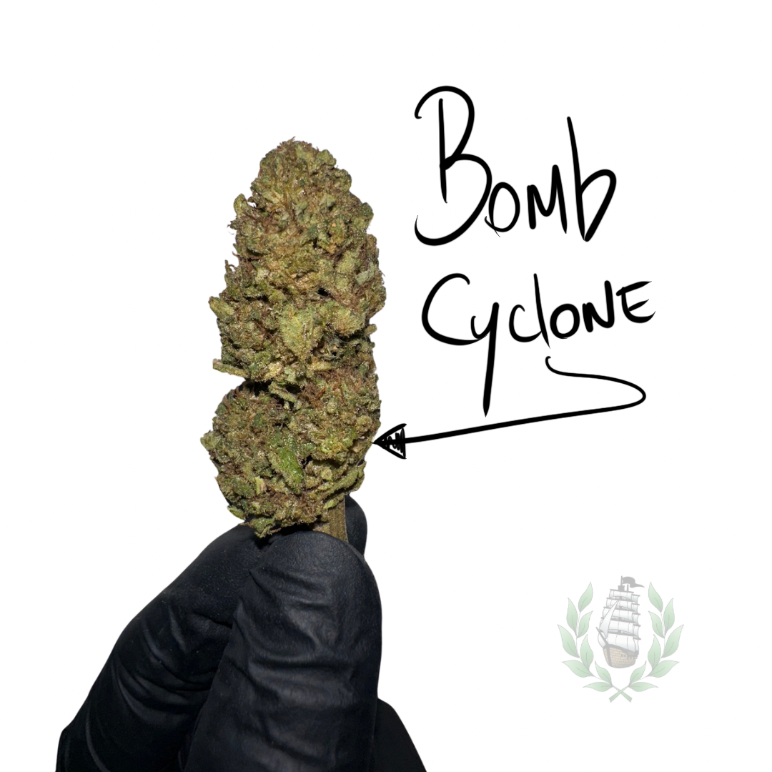 BOMB CYCLONE CBD 💚 by L’HERBE DE TÉO