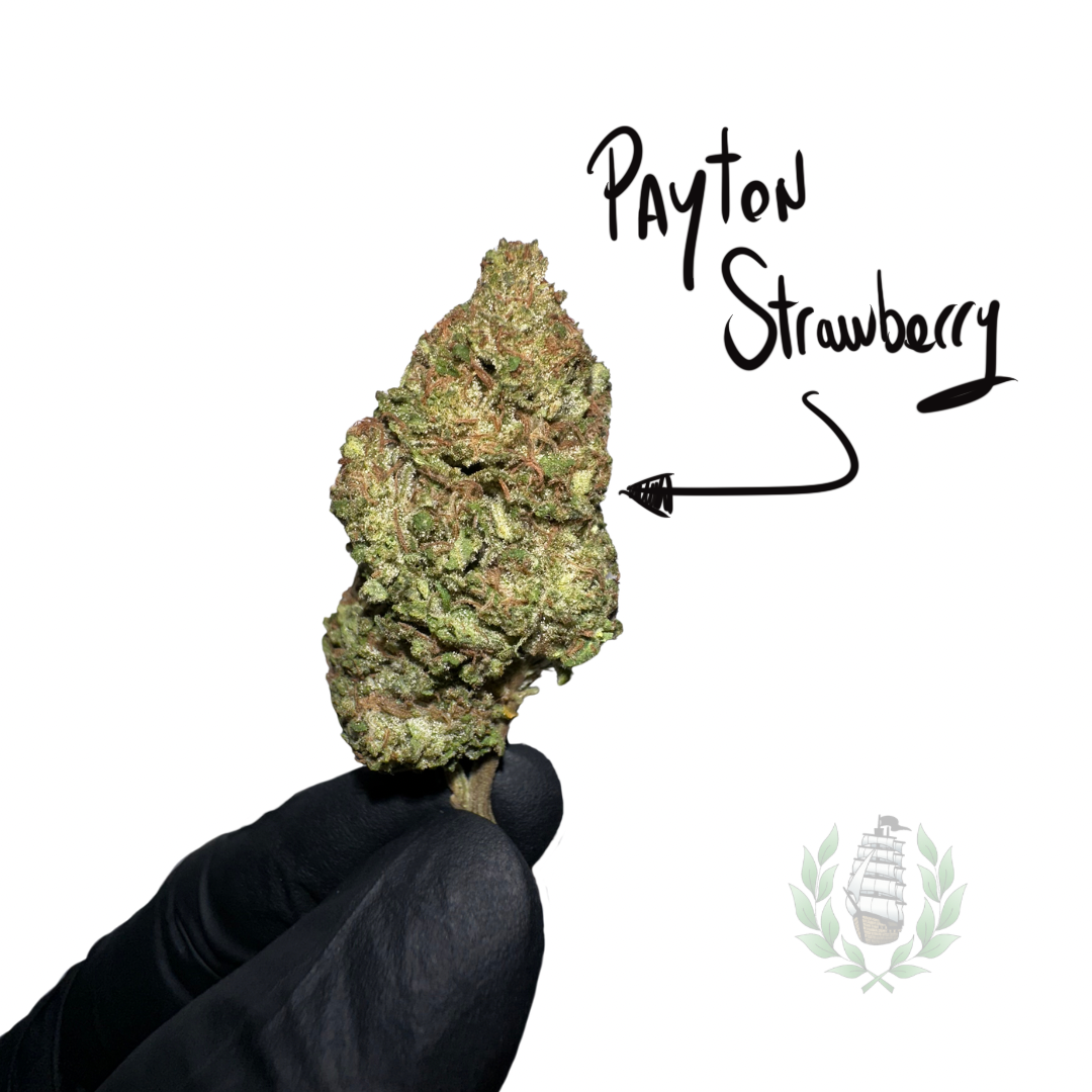 PAYTON STRAWBERRY CBD 💚 by LES FRÈRES CANNA