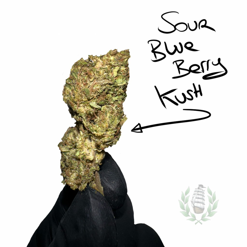 SOUR BLUE BERRY KUSH CBD 💚 by LES FRÈRES CANNA
