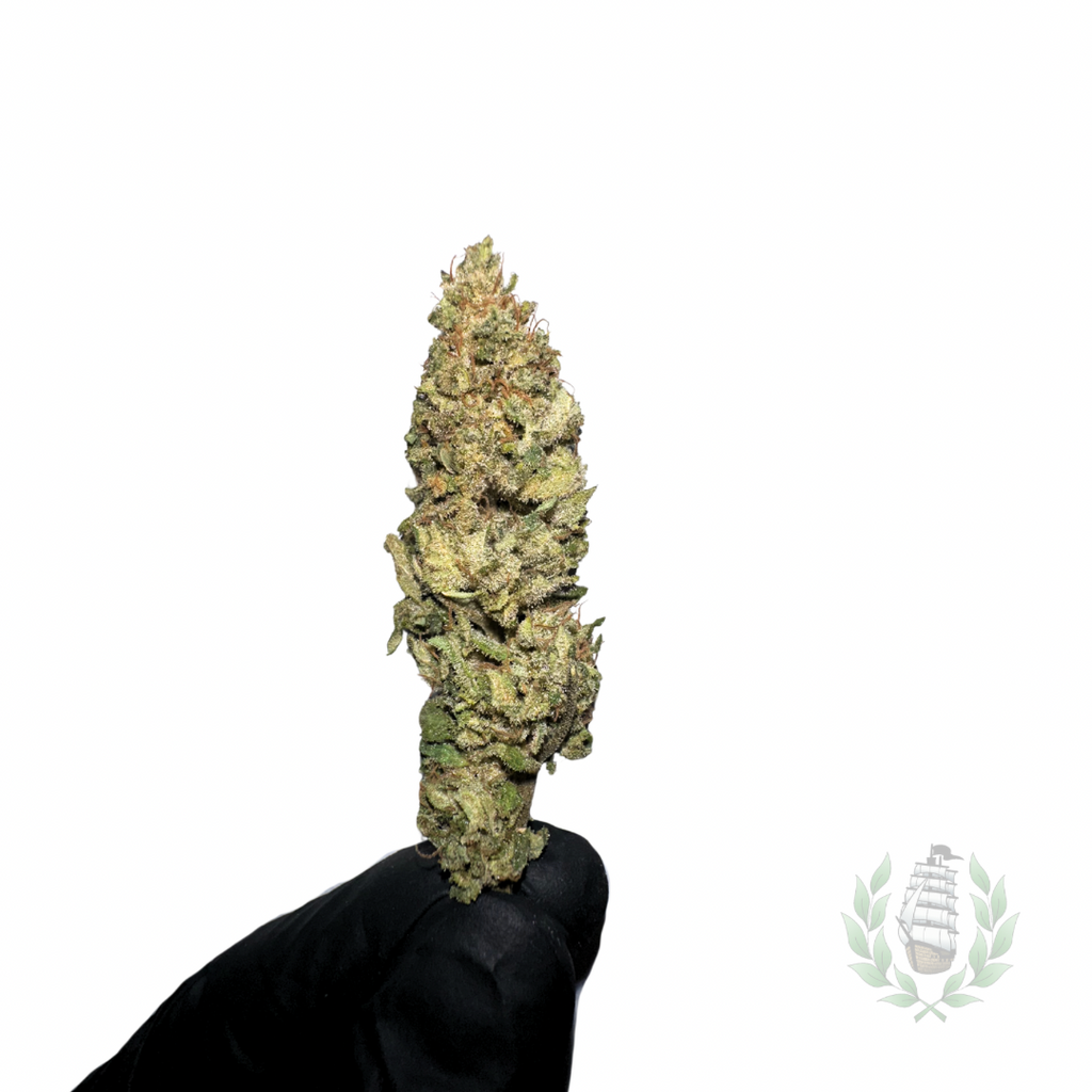 L’Épique Fruit Cake 💚