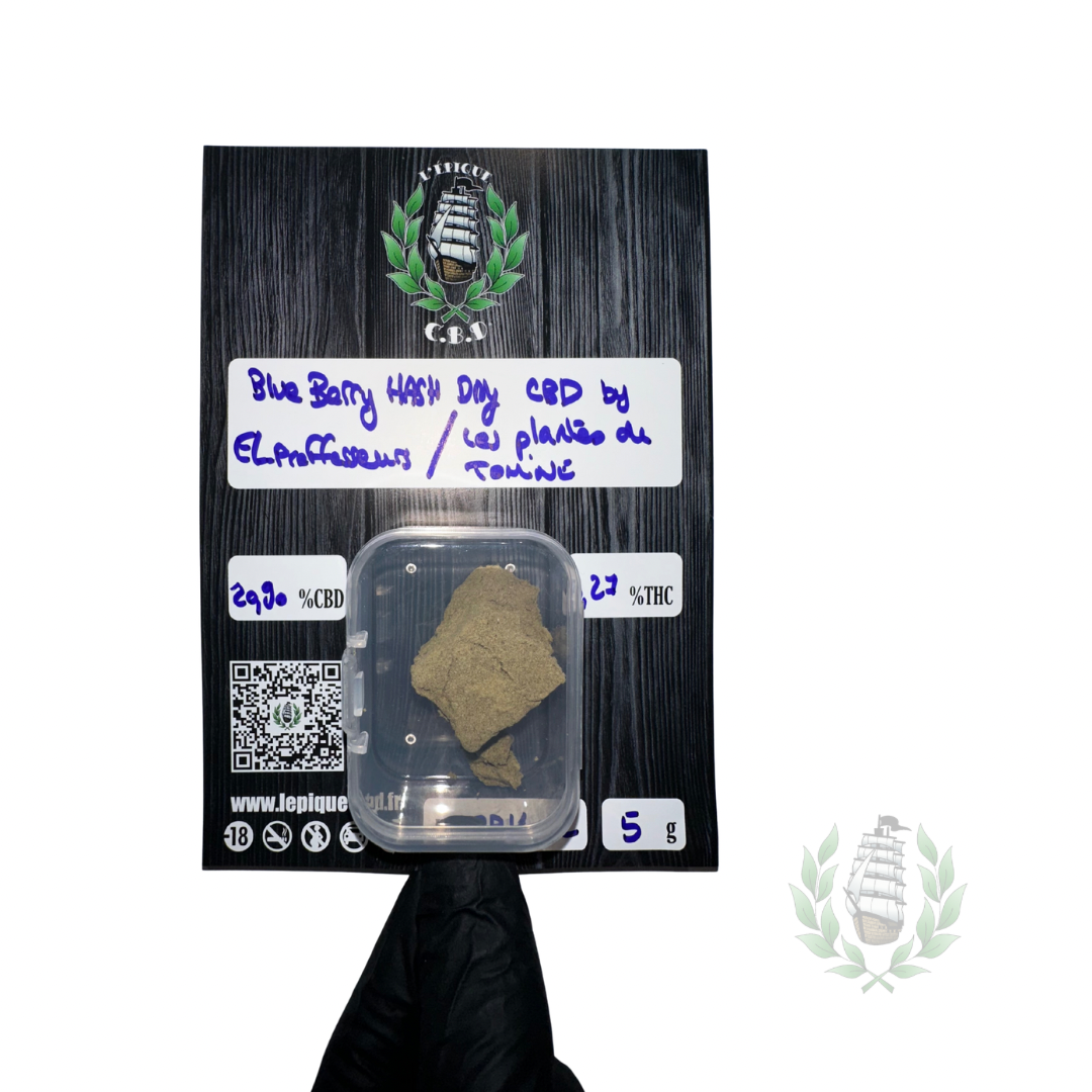 Blue Berry CBD By El_proffesseurs/Les plantes de Tomine