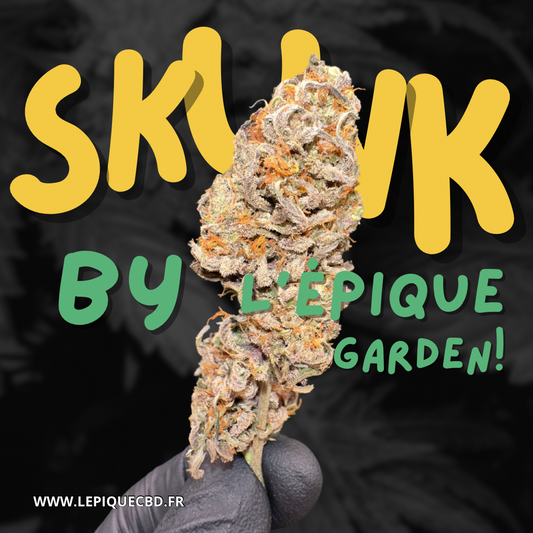 L’Épique Skunk 💚