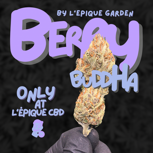 L’Épique Berry Buddha 💚