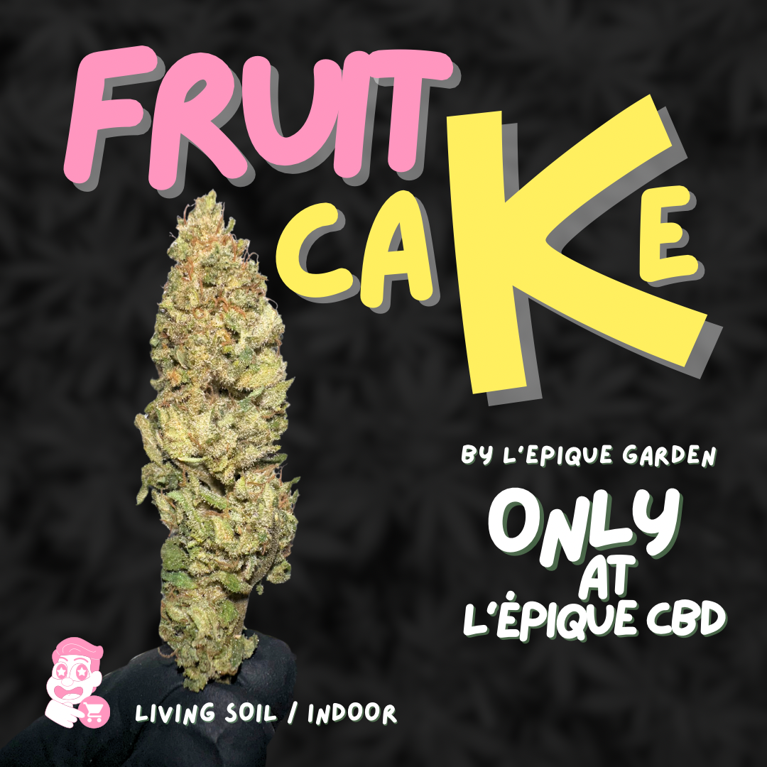 L’Épique Fruit Cake 💚