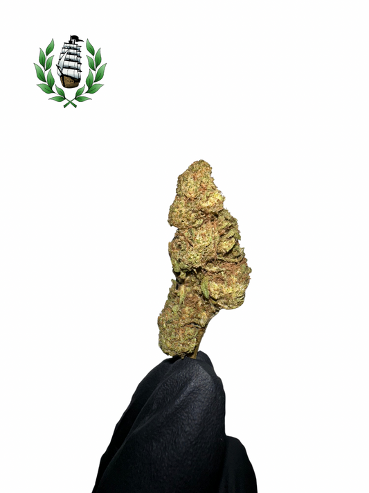 Critical CBD 💚