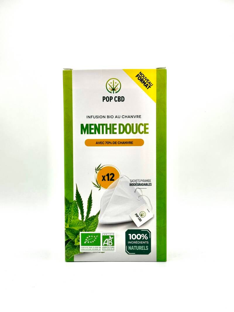 POP Menthe x12 pyramides